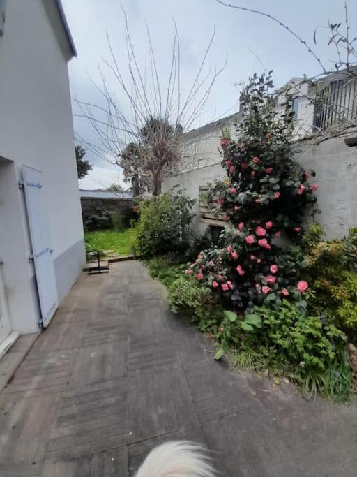 Villa L'Octroi Nantes-6 pers.-Jardin-Proche tt comm. Extérieur photo